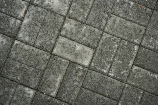 Texture of paving slabs overgrown with grass. Background image o — Stock Photo, Image