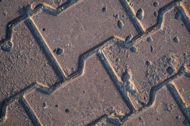 Çim ile büyümüş kaldırım levhaları Doku. Bir tabaka taşının arka plan görüntüsü