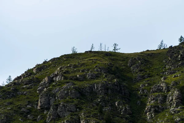 Imagen de fondo de un paisaje de montaña. Rusia, Siberia, Altai — Foto de Stock