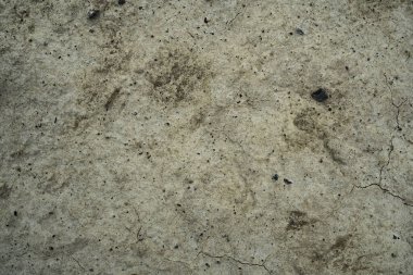 Kurutulmuş çatlak kil dokusu. Kurutulmuş c makro arka plan görüntüsü