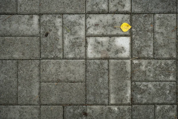 Texture of paving slabs overgrown with grass. Background image o — Stock Photo, Image