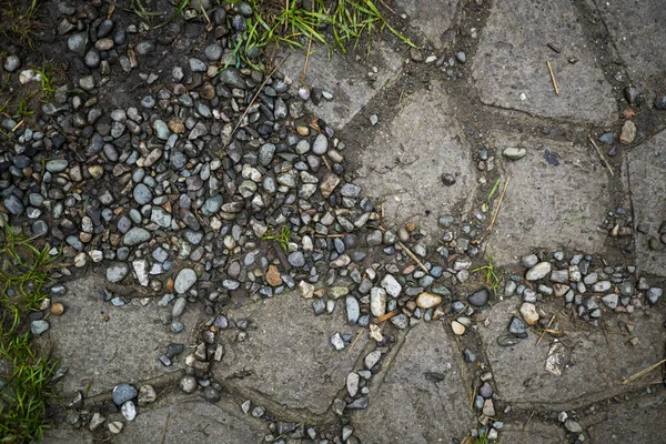 Texture of paving slabs overgrown with grass. Background image o — Stock Photo, Image