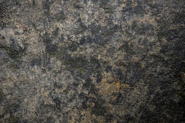 Textúra a nedves kő borított moha. Háttérkép a expanzívabb — Stock Fotó
