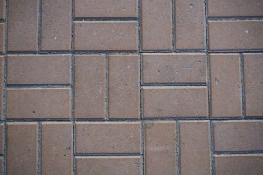 Çim ile büyümüş kaldırım levhaları Doku. Bir tabaka taşının arka plan görüntüsü