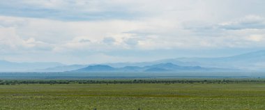 Bir dağ manzara arka plan görüntüsü. Rusya, Sibirya, Altay