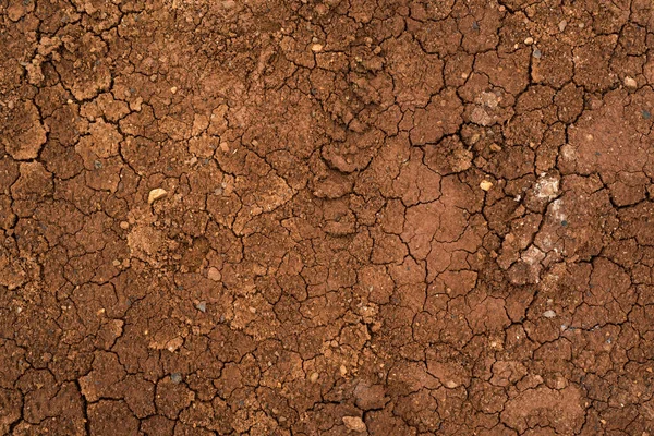 Texture of dried cracked clay. Macro background image of dried c — Stock Photo, Image