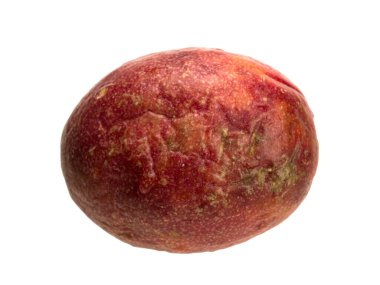 Tropical passion fruit creeper isolated object