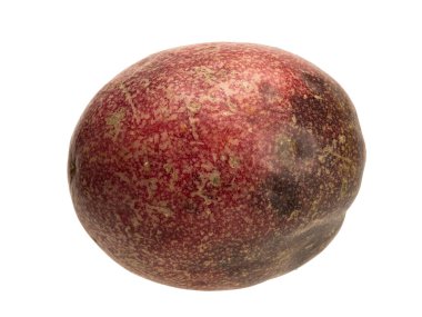 Tropical passion fruit creeper isolated object