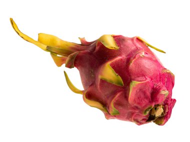 Pitaya cactus fruit isolated object