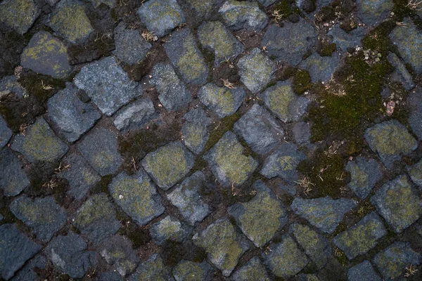 Grafische Bronnen Achtergrond Beeld Van Stoep Textuur Sett Zijn Een — Stockfoto