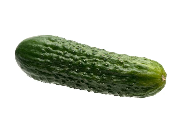 Grafische Bronnen Van Een Geïsoleerd Object Gewone Komkommer Verse Herfstoogst — Stockfoto