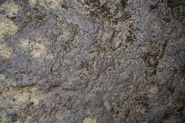 湿石的质地覆盖着青苔 微距摄影纹理石的背景图像 — 图库照片