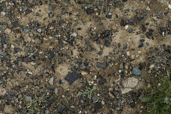 The texture of fine stone on the ground with grass and flowers. Background Image Macro Photography