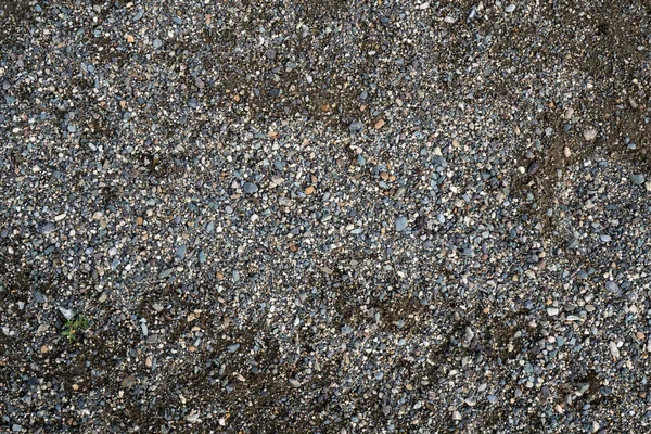 Texture Une Pierre Rivière Peu Profonde Pebble Image Fond — Photo