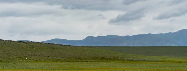 Bakgrundsbild Ett Bergslandskap Ryssland Sibirien Altai — Stockfoto