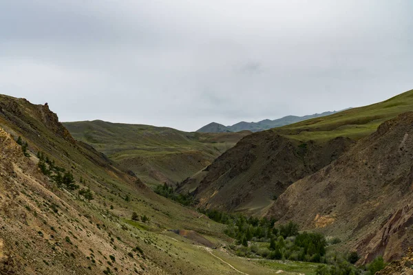 Imagem Fundo Uma Paisagem Montanha Rússia Sibéria Altai — Fotografia de Stock