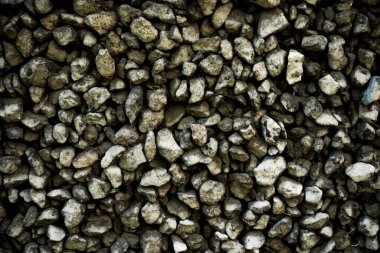 Kaba beton sıva grafit serpiştirilmiş. Taşile eski sıva dokusu. Eski bir evin duvar arka plan görüntüsü yakın vurdu. Grafik kaynakları soyut dokulu arka plan.