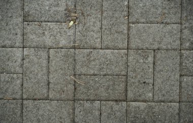 Çim ile büyümüş kaldırım levhaları Doku. Bir tabaka taşının arka plan görüntüsü