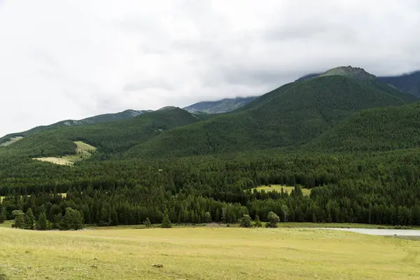 Image Fond Paysage Montagne Russie Sibérie Altaï — Photo