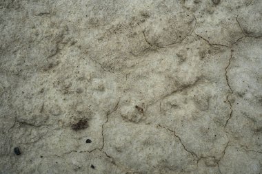 Kurutulmuş çatlak kil dokusu. Kurutulmuş kil makro arka plan görüntüsü