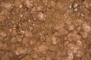 Kurutulmuş çatlak kil dokusu. Kurutulmuş kil makro arka plan görüntüsü