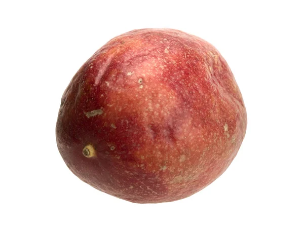 과일인 리아나는 고립된 과일을 먹는다 열매의 모양은 형이다 덩굴식물의 일반적으로 — 스톡 사진