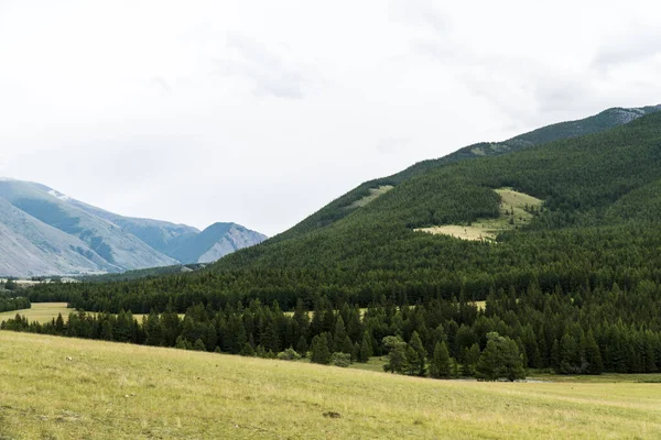 Background Image Mountain Landscape Russia Siberia Altai — Stock Photo, Image