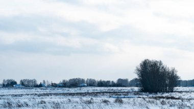 Beautiful winter landscape. Snow covered area. Cold weather. Winter season. Beautiful sky with clouds. Endless snow plains. Russia, Siberia, Altai Territory, Belokurikha.