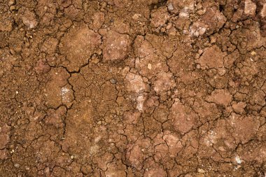 Kurutulmuş çatlak kil dokusu. Kurutulmuş kil makro arka plan görüntüsü