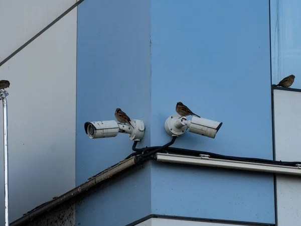 Image of a cctv camera. Private area is safe. Big brother is watching you. Video surveillance for security. A fixed operational surveillance camera. Protection against criminals.