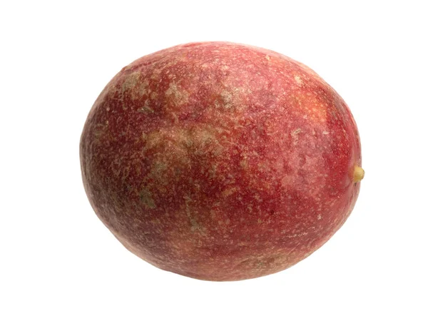 Tropik tutku meyveli liana meyvesi nesnesi izole edilmiş. Meyvenin şekli yuvarlak veya oval. Tutku Çiçeği cinsinin birkaç tropikal sarmaşığının meyvesi. Genellikle yenilebilir bir tutku türü..