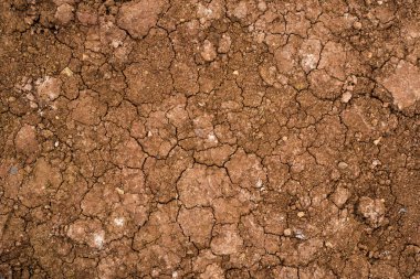 Kurutulmuş çatlak kil dokusu. Kurutulmuş kil makro arka plan görüntüsü