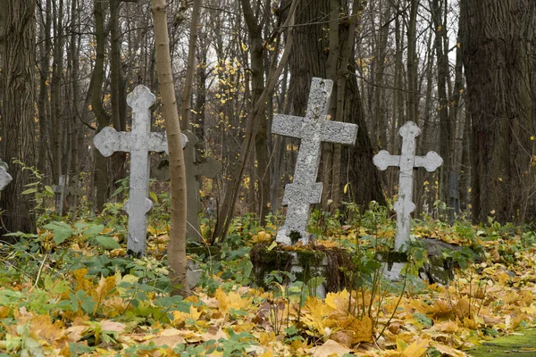 묘지의 잎으로 뒤덮인 묘지의 가을에 버려진 묘지의 아름다운 로열티 프리 스톡 사진