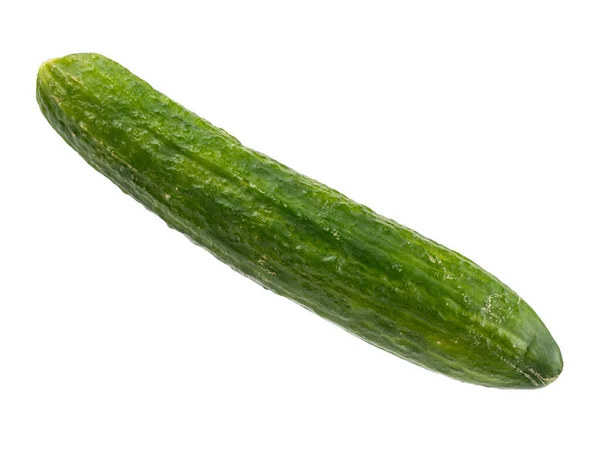 白色背景的孤立蔬菜 成熟的黄瓜 收获新鲜蔬菜 健康饮食 绿黄瓜 维生素的来源 制作沙拉的配料 — 图库照片