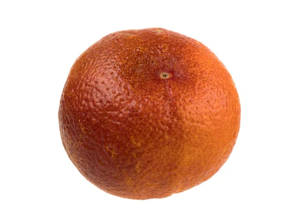 Krvavě Oranžová Odrůda Oranžová Karmínovým Téměř Krvavě Zbarveným Masem Izolovaný — Stock fotografie
