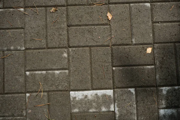 Beschaffenheit Der Mit Gras Bewachsenen Pflasterplatten Hintergrundbild Eines Stratum Stone — Stockfoto