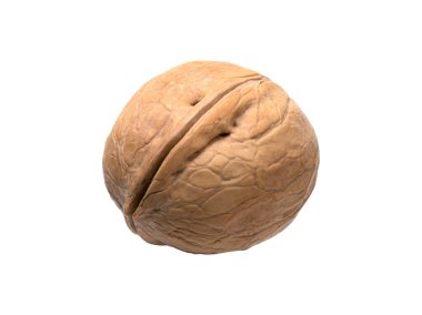 Graphic resources isolated object closed ripe walnut. Tasty diet healthy wholesome food. Volosh nut, king nut, Greek nut. An edible kernel is enclosed inside a woody shell. The fruit is a large drupes