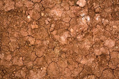 Kurutulmuş çatlak kil dokusu. Kurutulmuş kil makro arka plan görüntüsü