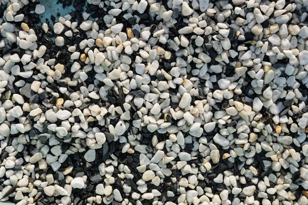 Background image of black and white stones. The texture of wet filler for the pool. The bottom is strewn with black and white rounded pebbles. Filler for an aquarium from small pebbles.