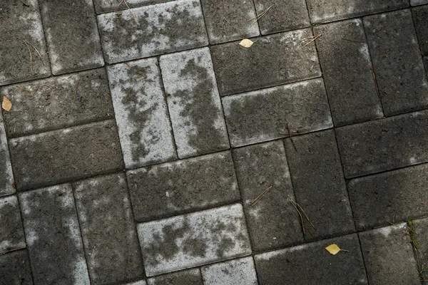 Textura Losas Pavimentación Cubiertas Hierba Imagen Fondo Una Piedra Estrato — Foto de Stock