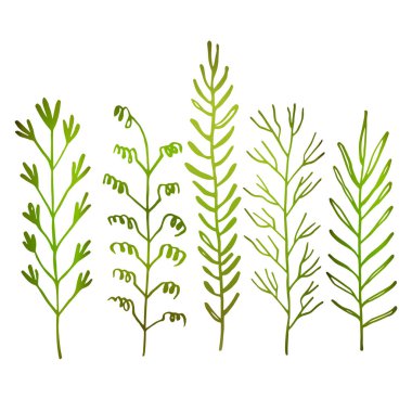 Spring floral set with green sprigs. Vector stock illustration. Template design for fabric, textile, wallpaper, posters, paper. Fashion print for children. Branch with leaves. Doodle style.