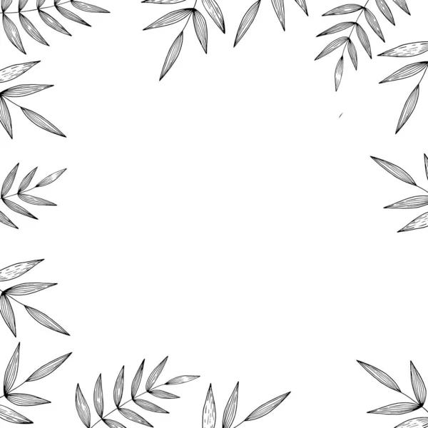 在白色背景上有分枝的花框 饰有热带叶子 招贴画 卡片的向量图 涂鸦的风格 复制空间 — 图库矢量图片