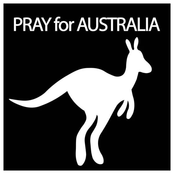 Rezai Pela Austrália Pelo Canguru Ilustração Vetorial Animal Isolado Sobre — Vetor de Stock