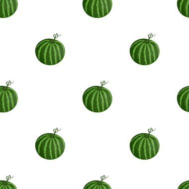 Beyaz arka planda karpuz deseni var. Rengarenk meyveli yaz illüstrasyonu. Yemek konsepti. Davetiye, poster, kart, kumaş, tekstil için vektör baskısı.