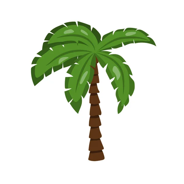 Płaskie Tropikalne Drzewo Palmowe Sztuki Klipu Ilustracja Liści Dżungli Ręcznie — Wektor stockowy