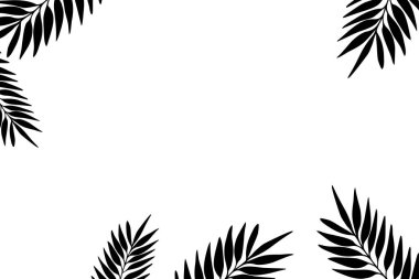 Beyaz arka planda egzotik dalları olan çiçek deseni. Tropik yapraklarla süslü bir sınır. Duvar kağıtları, posterler, kartlar için vektör stoku çizimi. Doodle tarzı. Boşluğu kopyala.