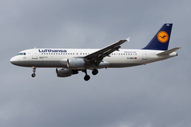 Lufthansa Airbus A320 D-Aiqc yolcu uçağı Frankfurt Havaalanına iniyor.