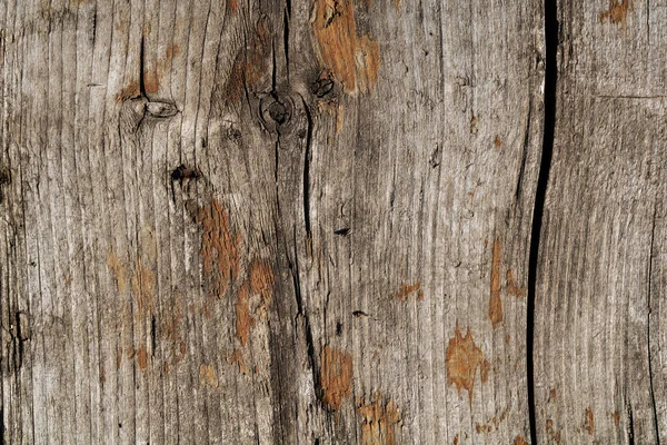 Grunge envelhecido natural placa de madeira dura superfície textura plana — Fotografia de Stock