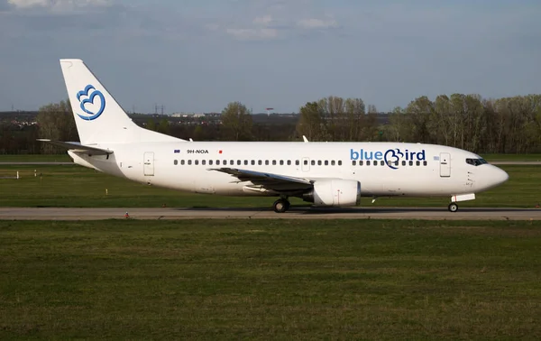 Bluebird Havayolları Boeing 737-300 9h-Noa yolcu uçağı Budapeşte Havaalanı 'ndan kalkıyor.