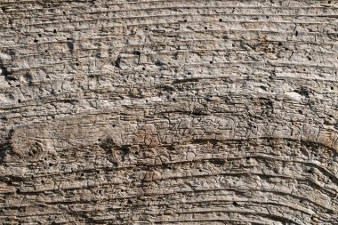 Doğal yaşlı grunge sert tahta yüzey düz dokusu